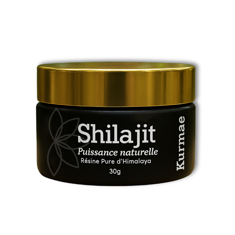Shilajit : mythe ou médecine oublié ?