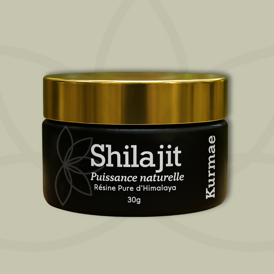 Shilajit Pur Premium – Kurmae