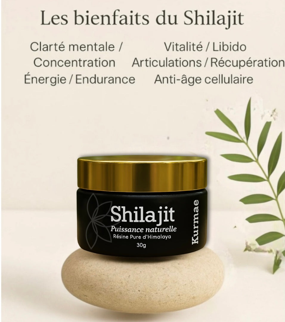 Shilajit Pur Premium – Kurmae