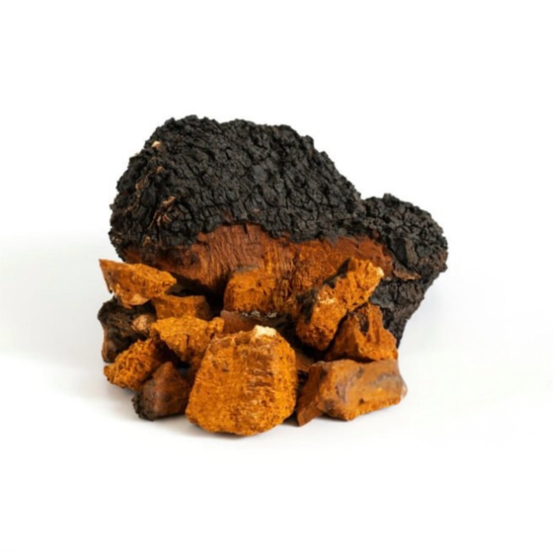 Chaga - Force de Vie - Extrait de poudre Chaga bio 30%
