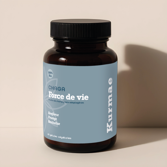 Chaga - Force de Vie - Gélules Premium Organic 30%