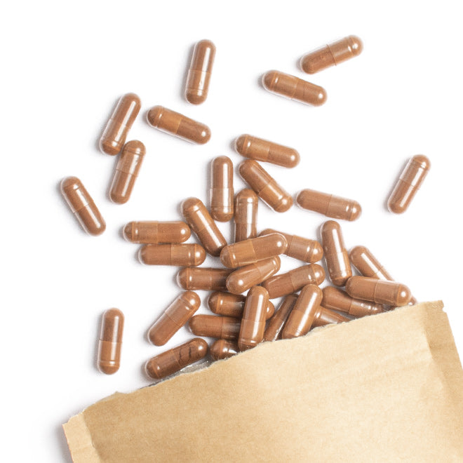 Chaga - Force de Vie - Gélules Premium Organic 30%