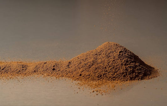 Chaga - Force de Vie - Extrait de poudre Chaga bio 30%