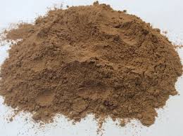 Cordyceps Bio - Pulse Naturel - Extrait de poudre bio 30%