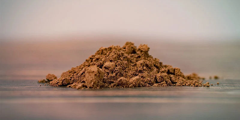 Reishi Bio - Harmonie de Soi - Extrait de poudre bio 30%