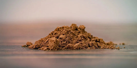 Reishi Bio - Harmonie de Soi - Extrait de poudre bio 30%