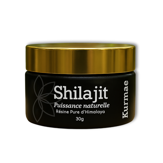 Shilajit : mythe ou médecine oublié ?