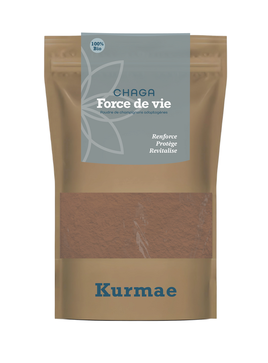 Chaga - Force de Vie - Extrait de poudre Chaga bio 30%