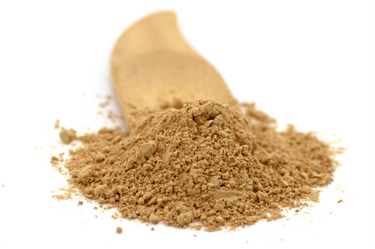 Lion's Mane -Clarté d'Ésprit - Extrait de poudre bio 30%